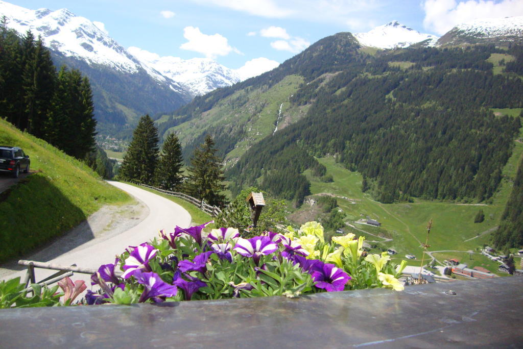Schachengut Villa Bad Gastein Ruang foto